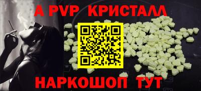 ПСИЛОЦИБИНОВЫЕ ГРИБЫ Камышлов