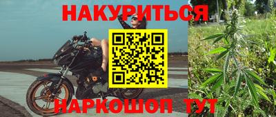 ПСИЛОЦИБИНОВЫЕ ГРИБЫ Камышлов