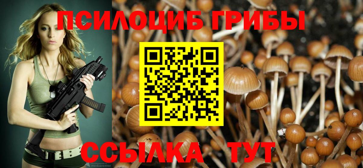 Псилоцибиновые грибы MAGIC MUSHROOMS Кудымкар